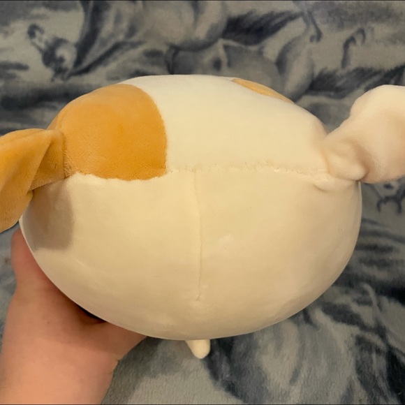 Brock the dog Squishmallow Bundle💕 - Picture 4 of 4